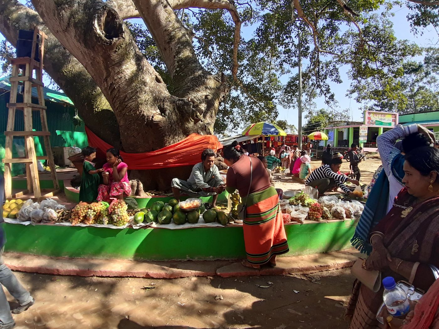 A hill market under a banyan tree, Bandarban