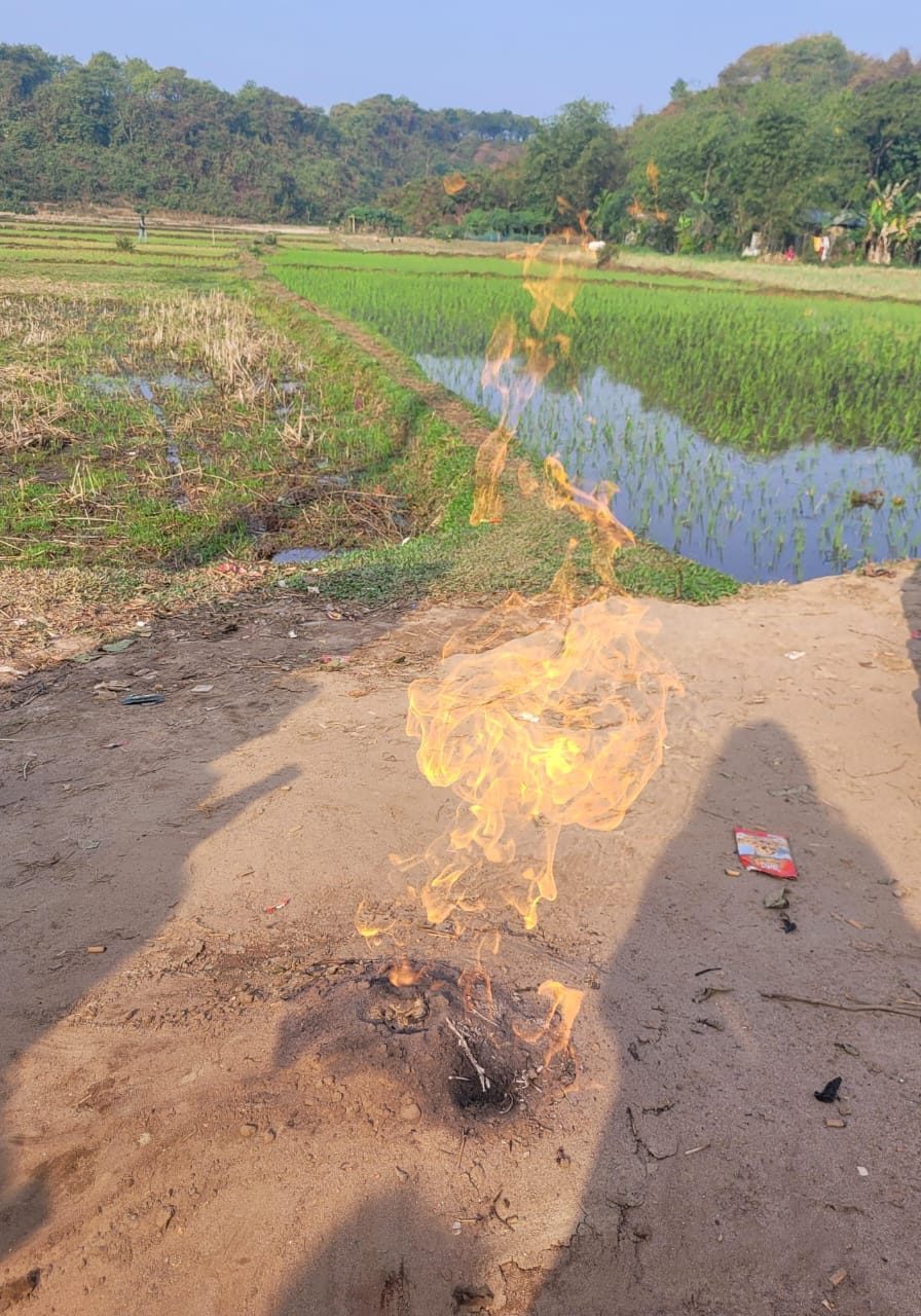 Natural gas seeping and burning beside a rice field